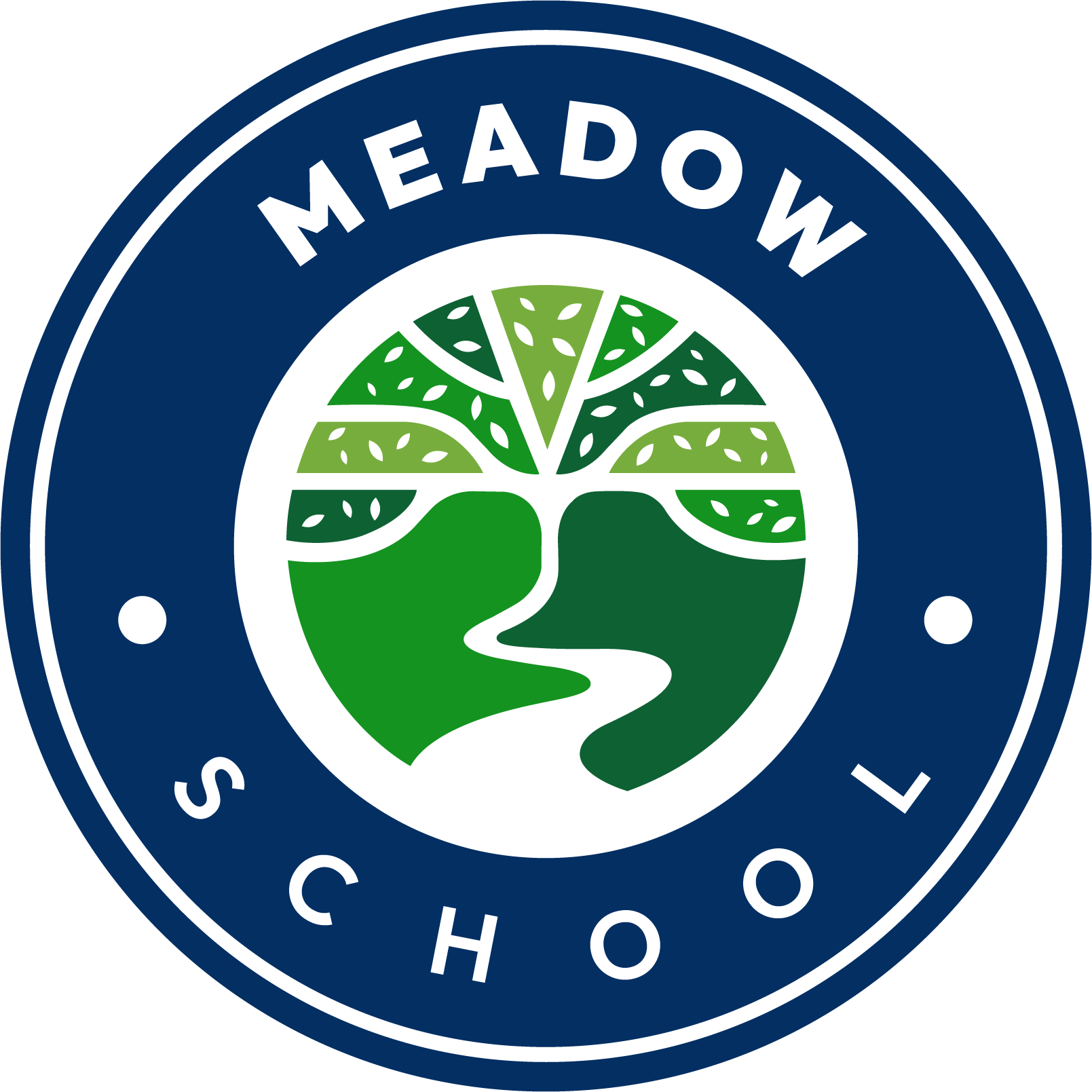 Meadow School